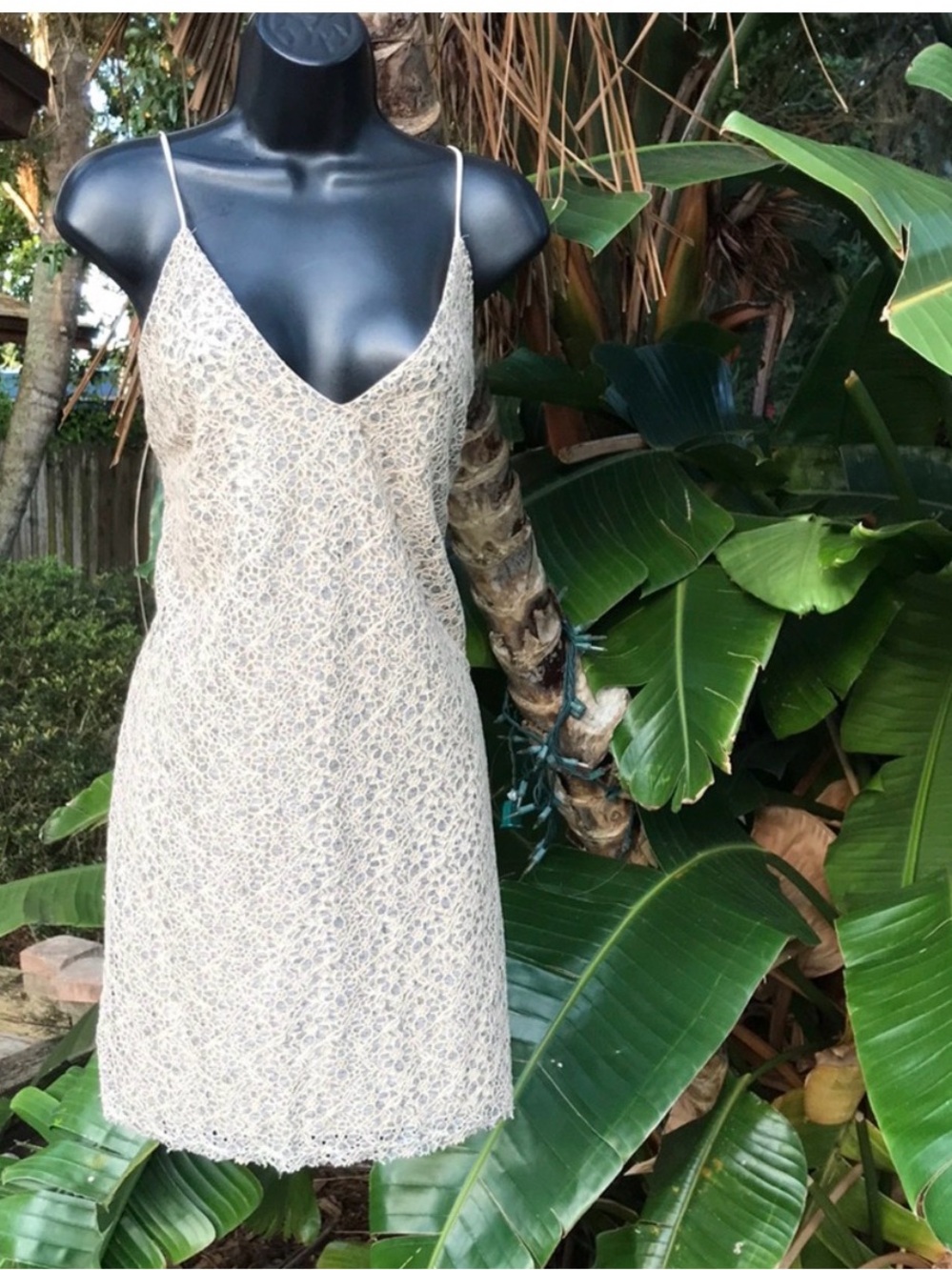 Zara lace slip dress